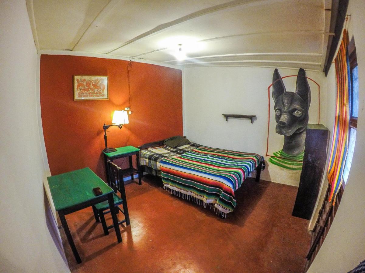 Hostel El Nagual San Cristóbal de Las Casas Dış mekan fotoğraf