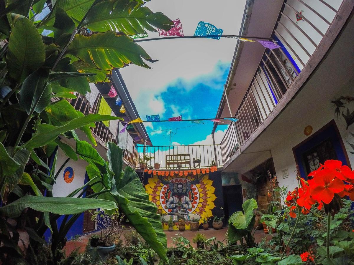 Hostel El Nagual San Cristóbal de Las Casas Dış mekan fotoğraf