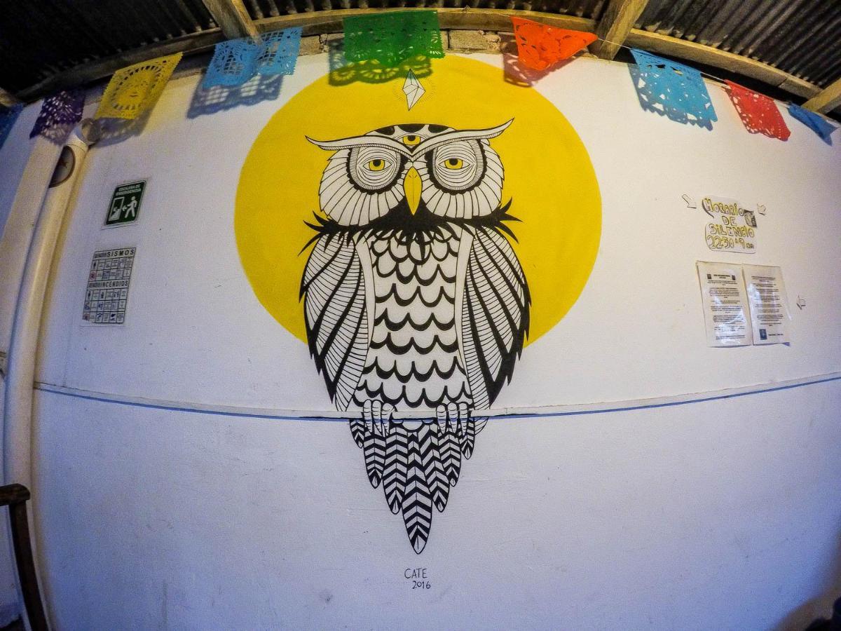 Hostel El Nagual San Cristóbal de Las Casas Dış mekan fotoğraf